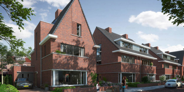 12-pauwen-afbeelding