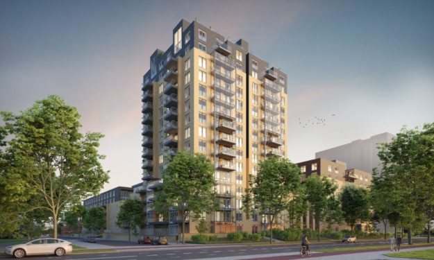 stadhouders-den-haag-footer