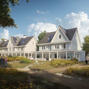 31815-Zeekraal-XL-small