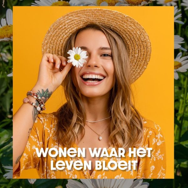 9719_WD_PB_facebook-afb1